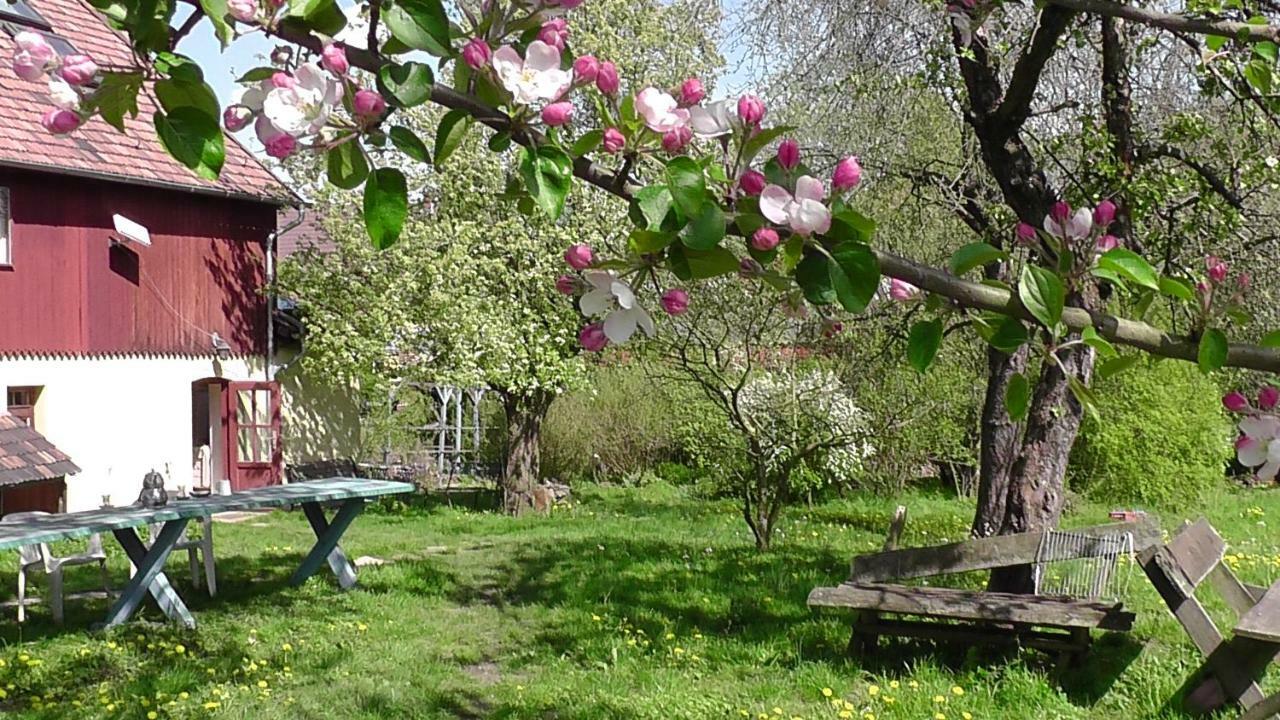 Privatunterkunft Appel-ranch *