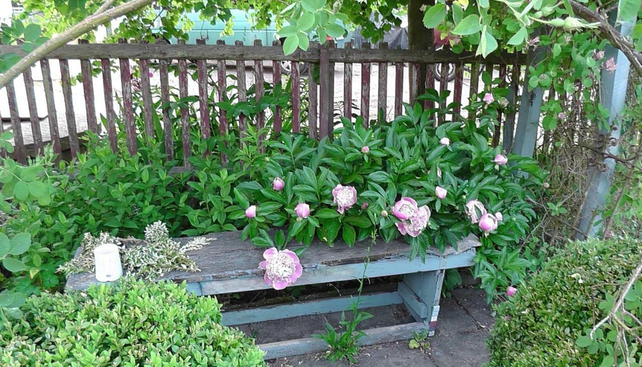 Appel-ranch Homestay Bockelwitz