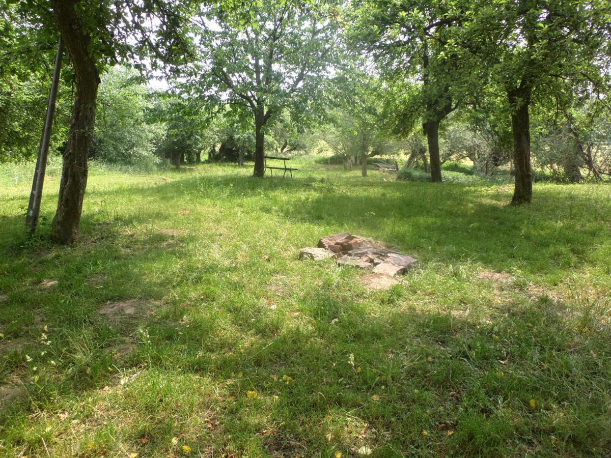 Privatunterkunft Appel-ranch Bockelwitz