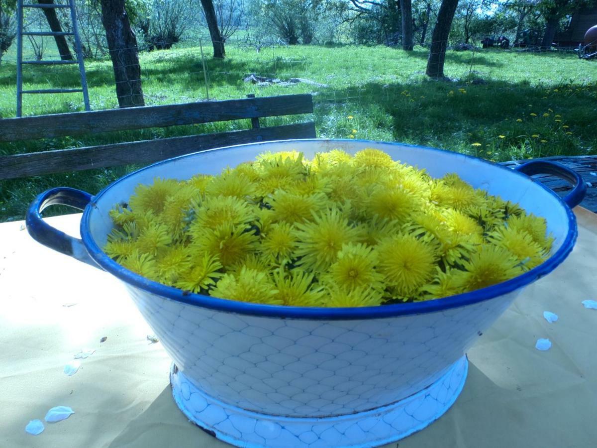 Appel-ranch Homestay *