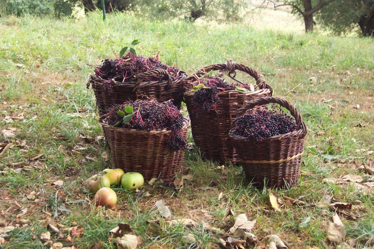 Alloggio in famiglia Appel-ranch