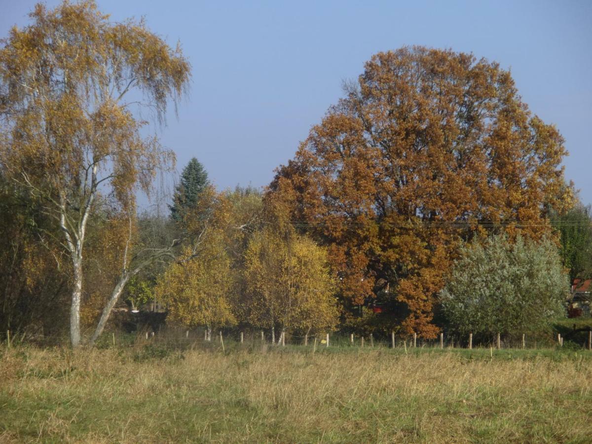 Appel-ranch *
